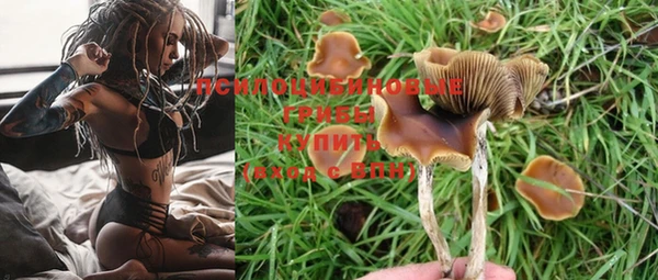 наркотики Новозыбков