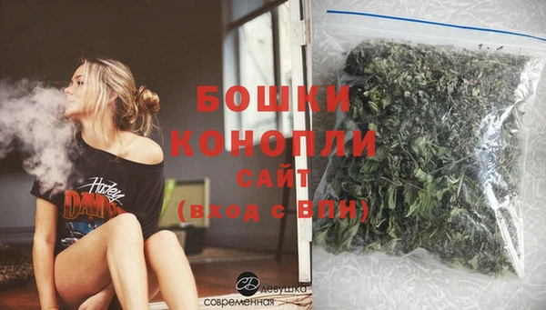 дживик Белая Холуница