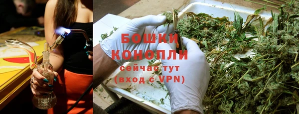 каннабис Новокубанск